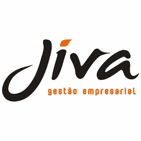 JIVA Gestão Empresarial | WSI Marketing Digital