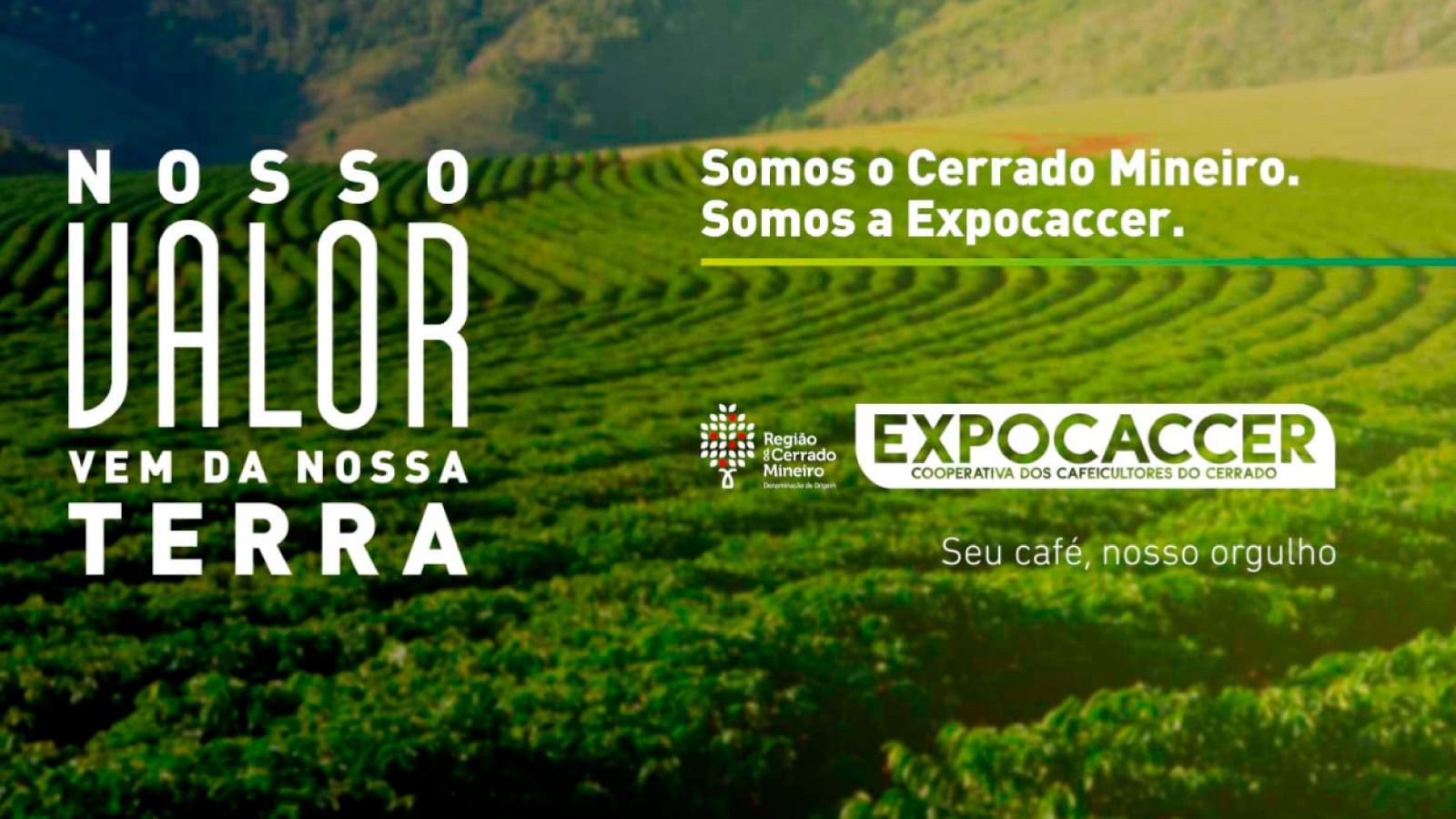 Homepage do site da Expocaccer